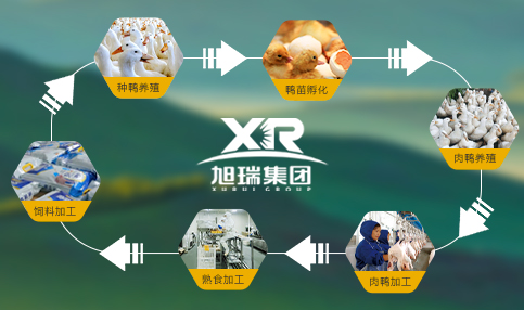 集團產業